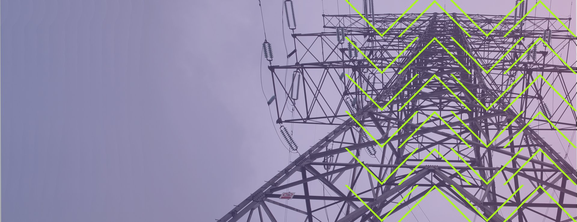 power-grid-FLEX2